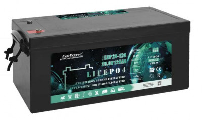 37150 Аккумуляторна батарея EVEREXCEED LiFePO4 24V 100Ah 4000 циклів-[articul]