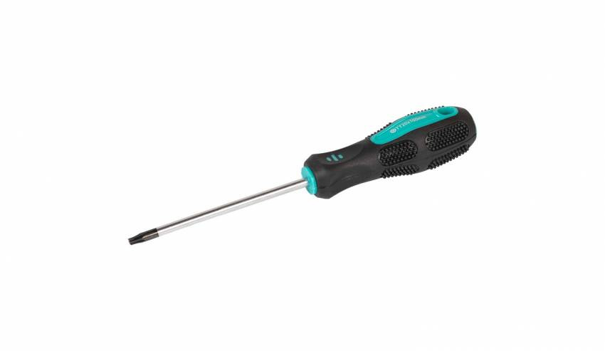 Викрутка MASTERTOOL TORX TT20х100 мм 49-0201-49-0201