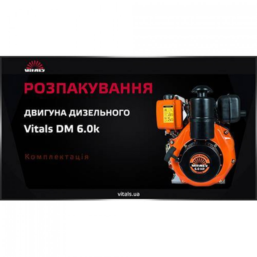 Двигун дизельний Vitals DM 6.0k-77318T