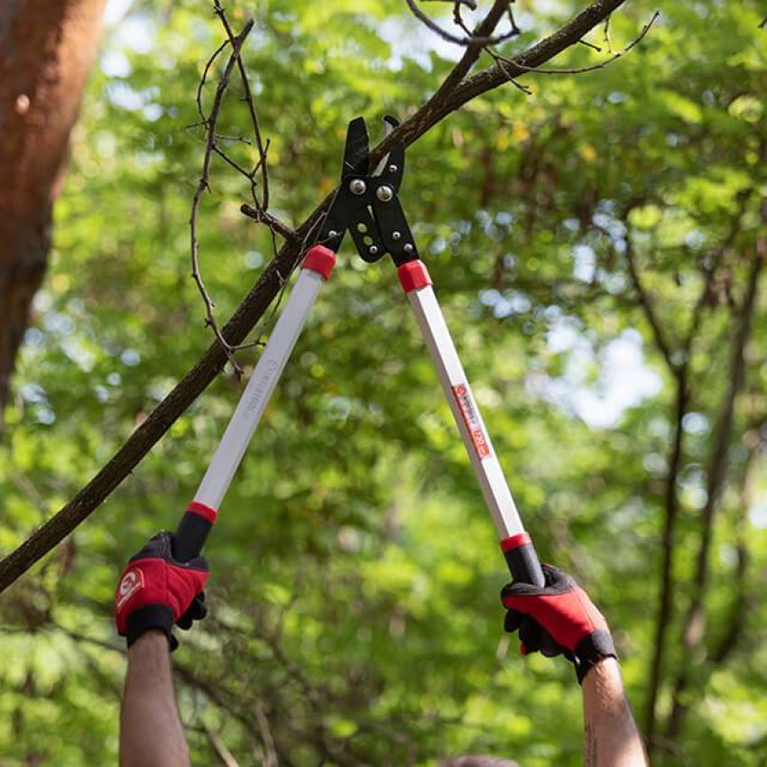 Сучкоріз садовий для обрізання гілок 730 мм INTERTOOL FT-1112-FT-1112